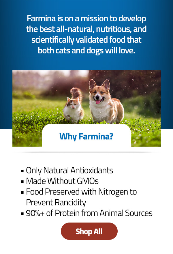 Hollywood Feed Now Carries Farmina! 🥳 Hollywood Feed